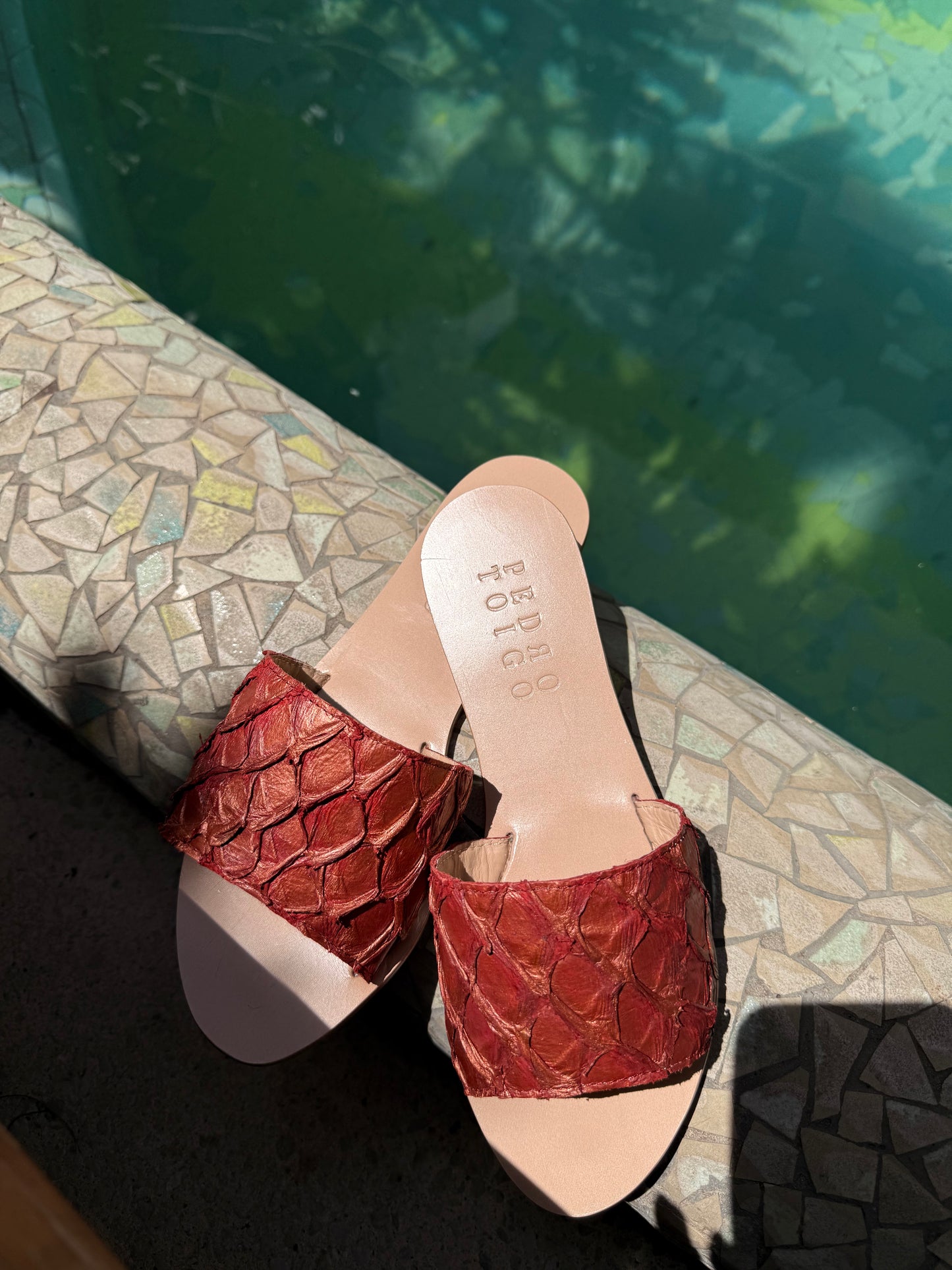 Flat Pirarucu collab Pedro Toigo