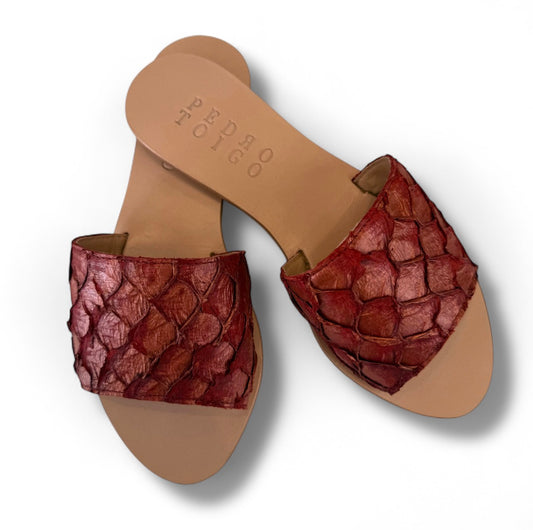 Flat Pirarucu collab Pedro Toigo